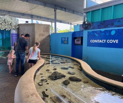 Contact Cove at Mote Marine Lab and Aquarium